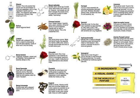 chanel perfume ingredients